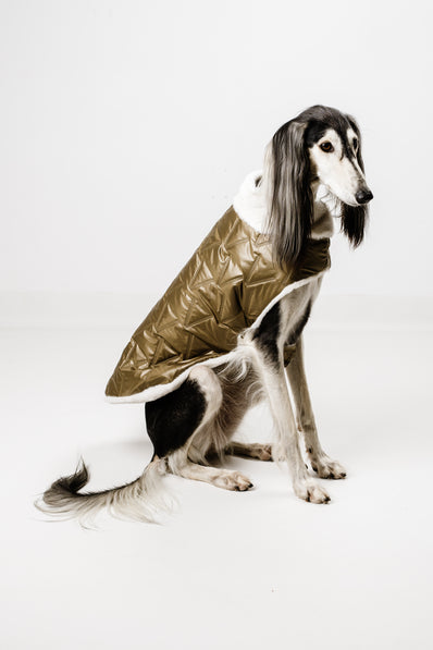 L - Monché bundica za kužka