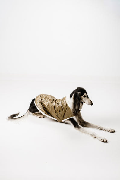 L - Monché bundica za kužka