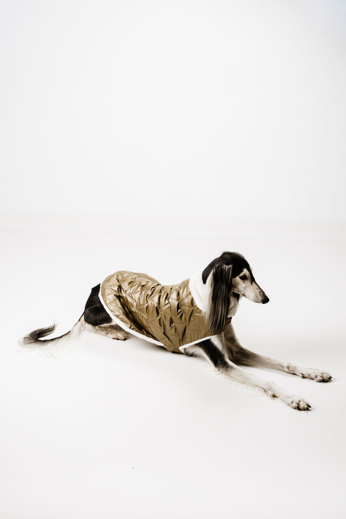 L - Monché bundica za kužka