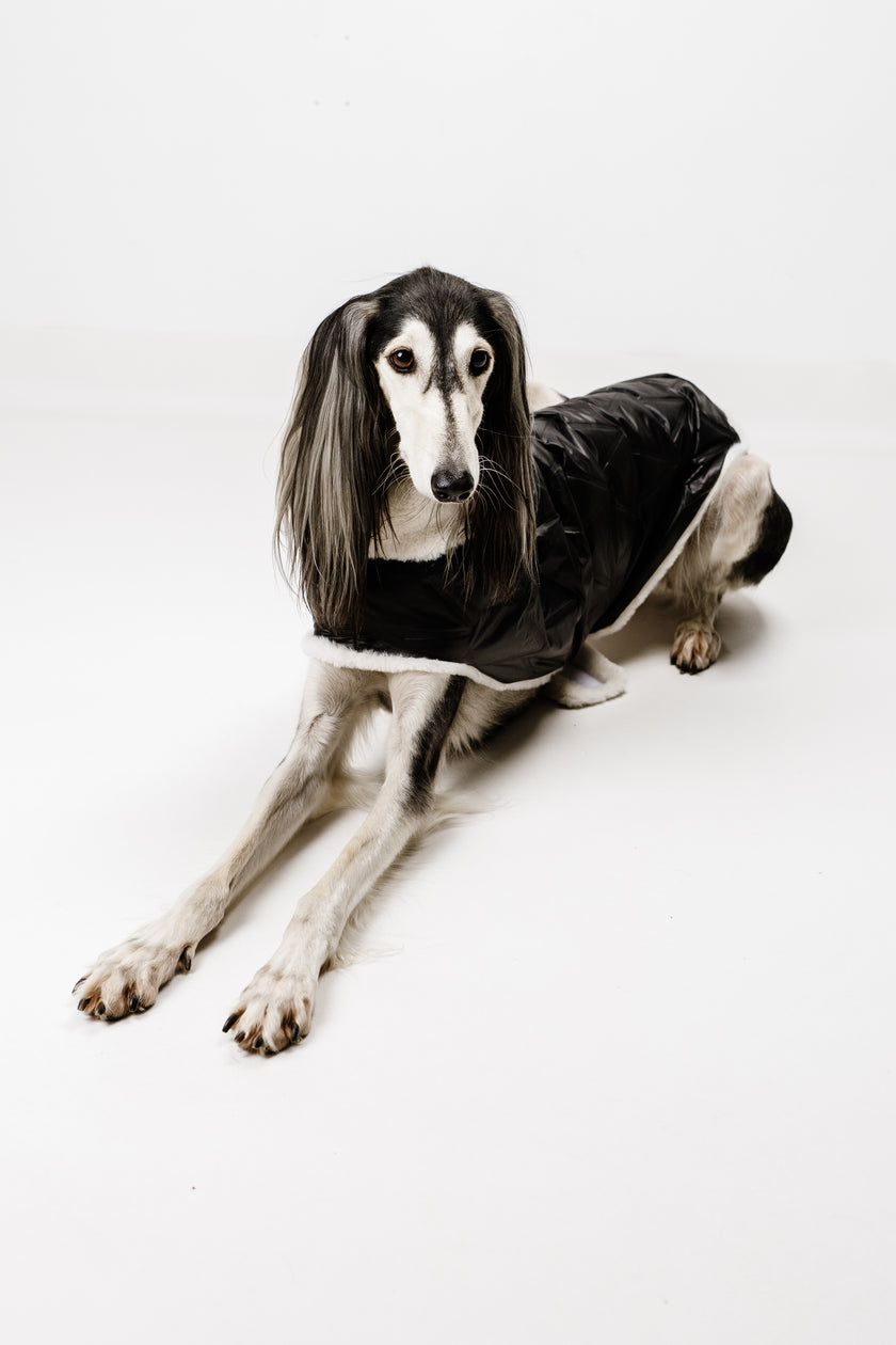 L - Monché bundica za kužka