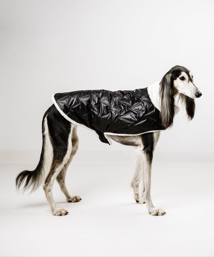 L - Monché bundica za kužka