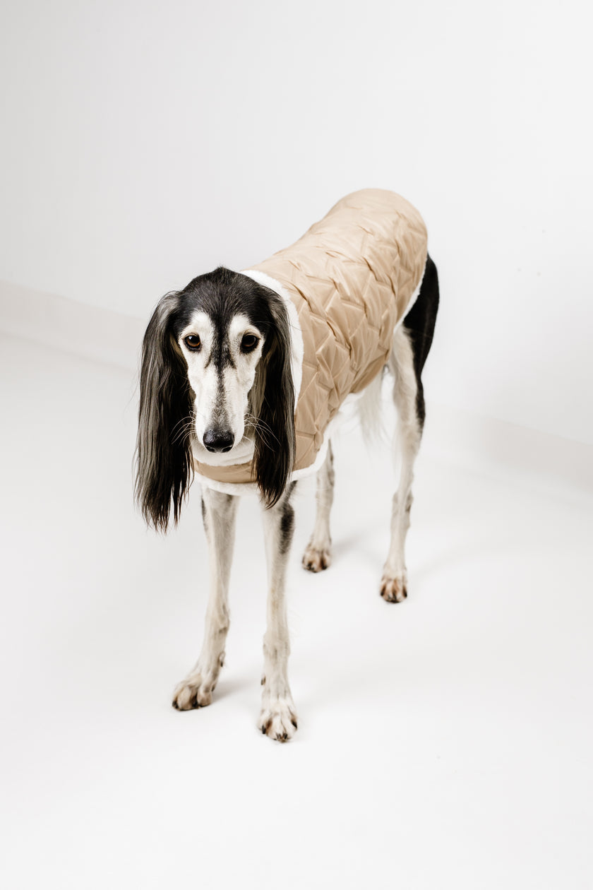 L - Monché bundica za kužka