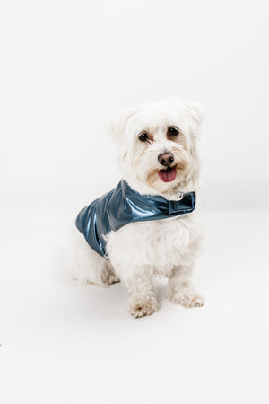 S - Monché bundica za kužka