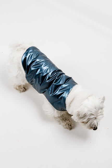 S - Monché bundica za kužka