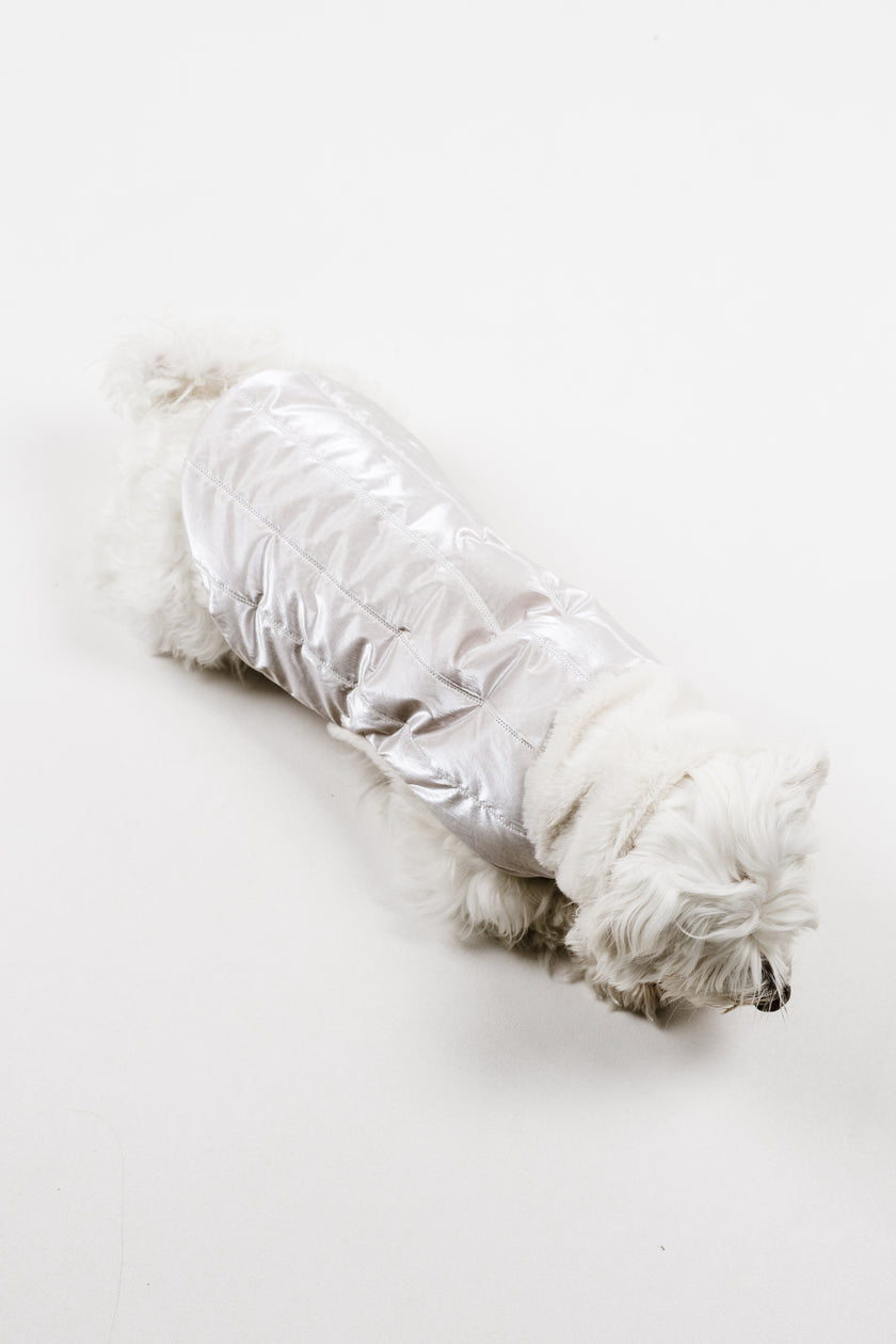 S - Monché bundica za kužka