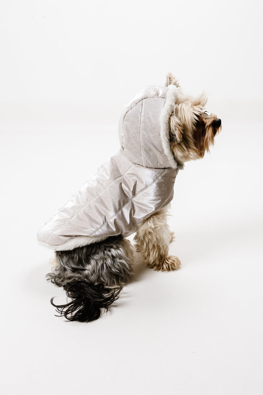 XS - Monché bundica za kužka