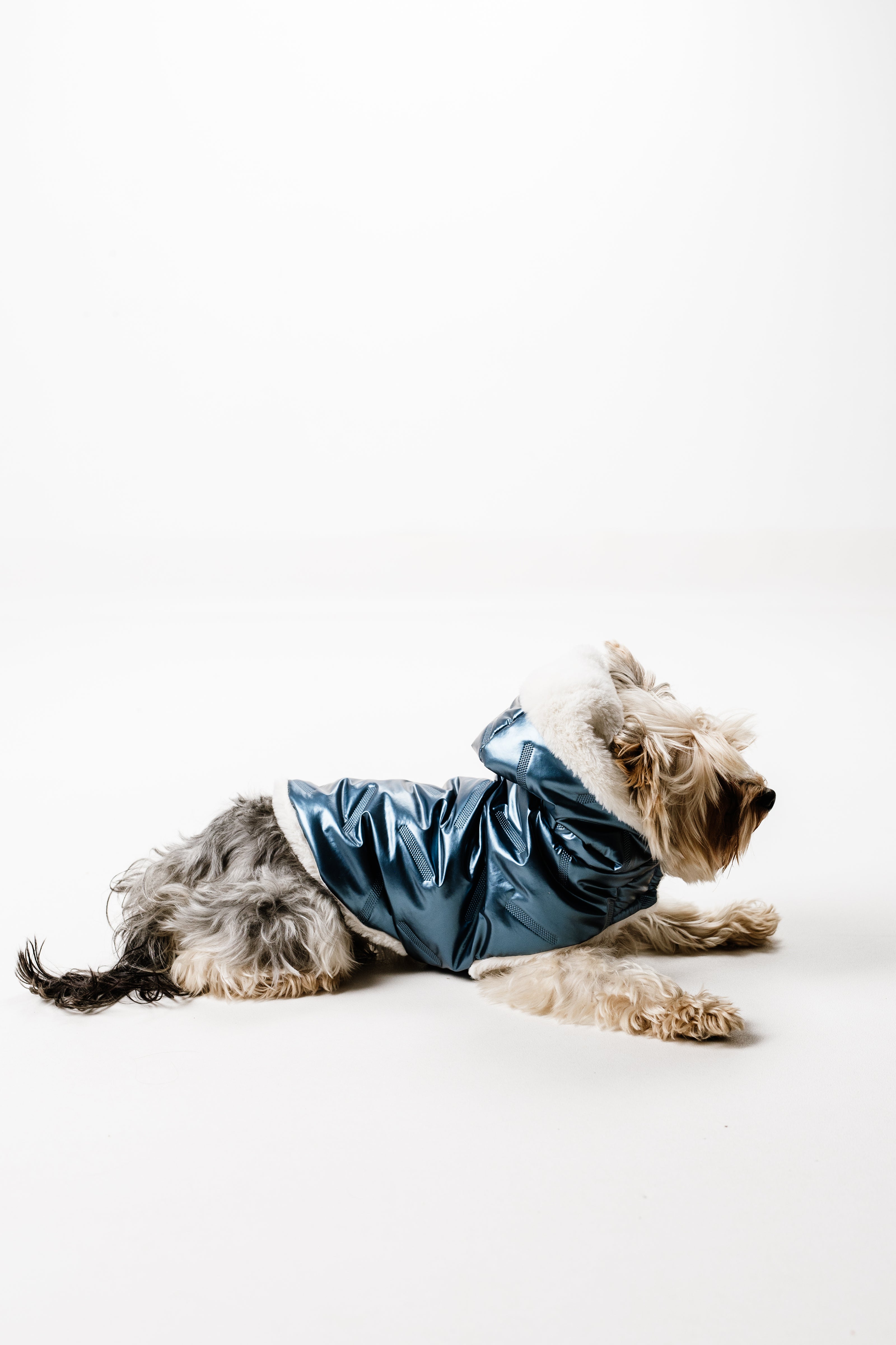 XS - Monché bundica za kužka