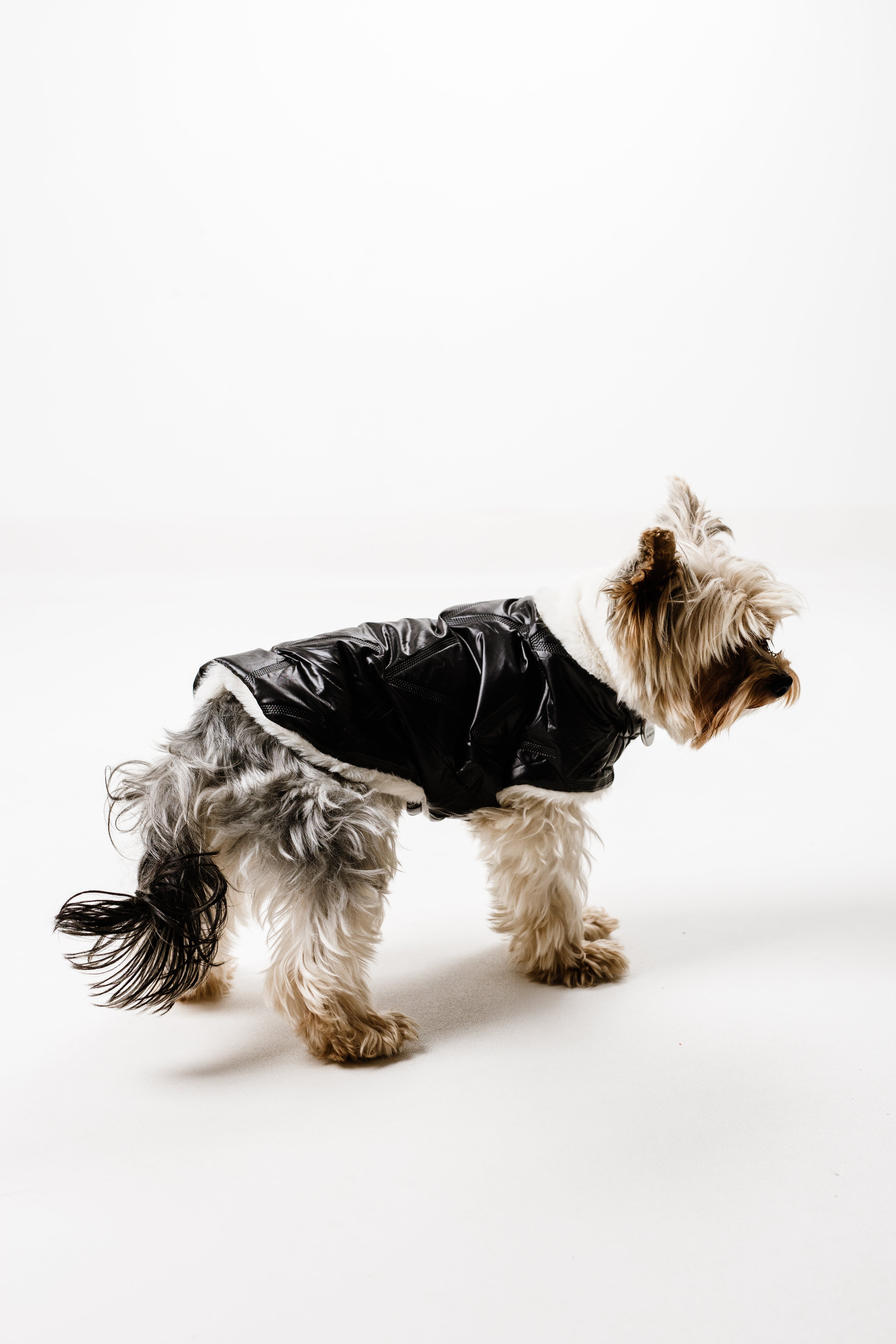 XS - Monché bundica za kužka