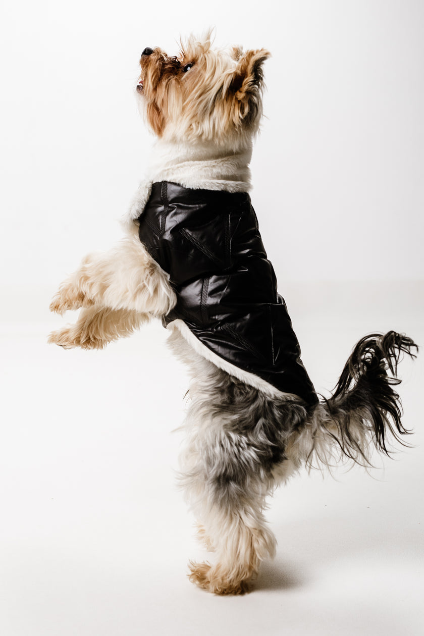 XS - Monché bundica za kužka