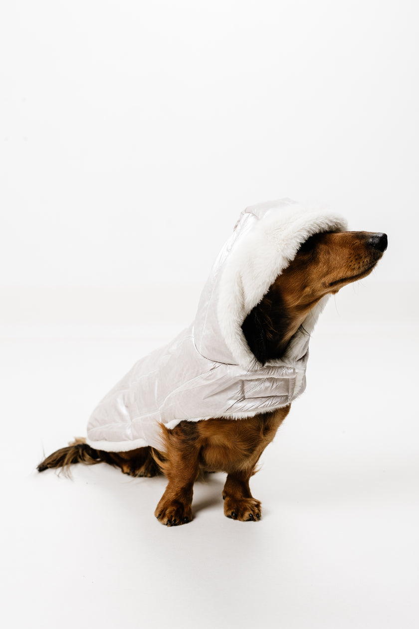 M - Monché bundica za kužka