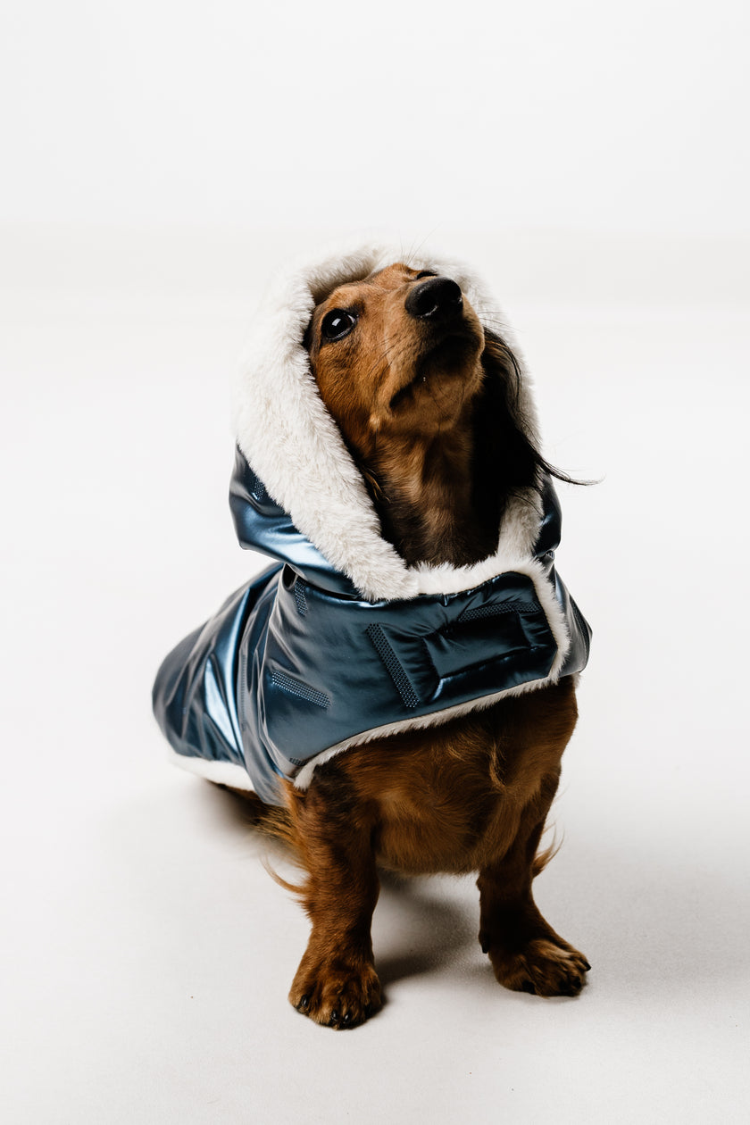 M - Monché bundica za kužka