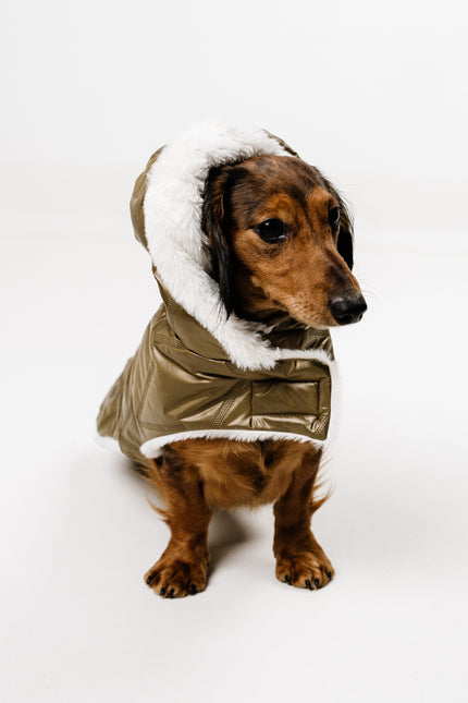 M - Monché bundica za kužka