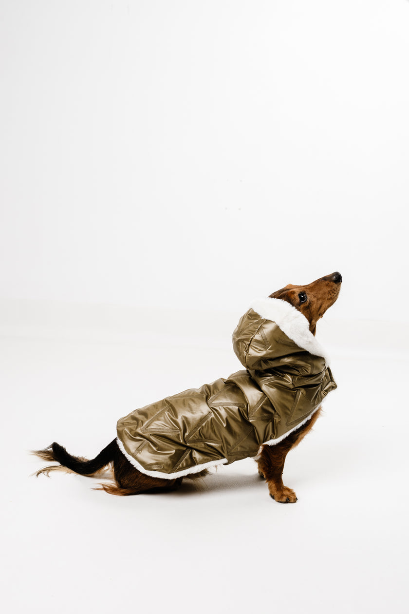 M - Monché bundica za kužka