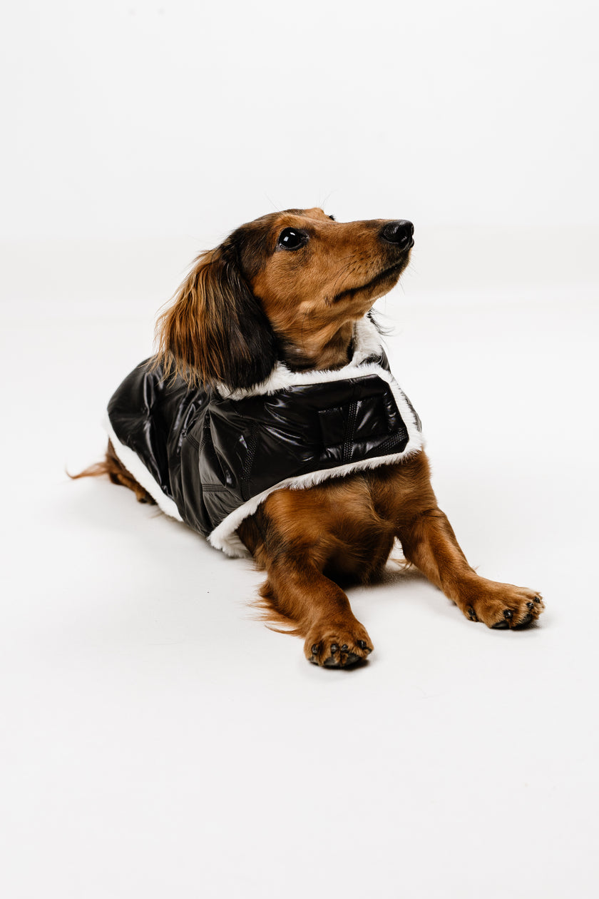 M - Monché bundica za kužka