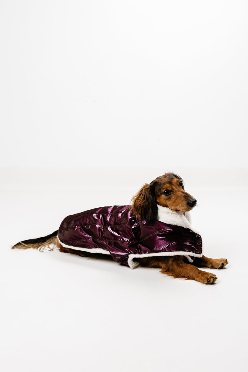 M - Monché bundica za kužka