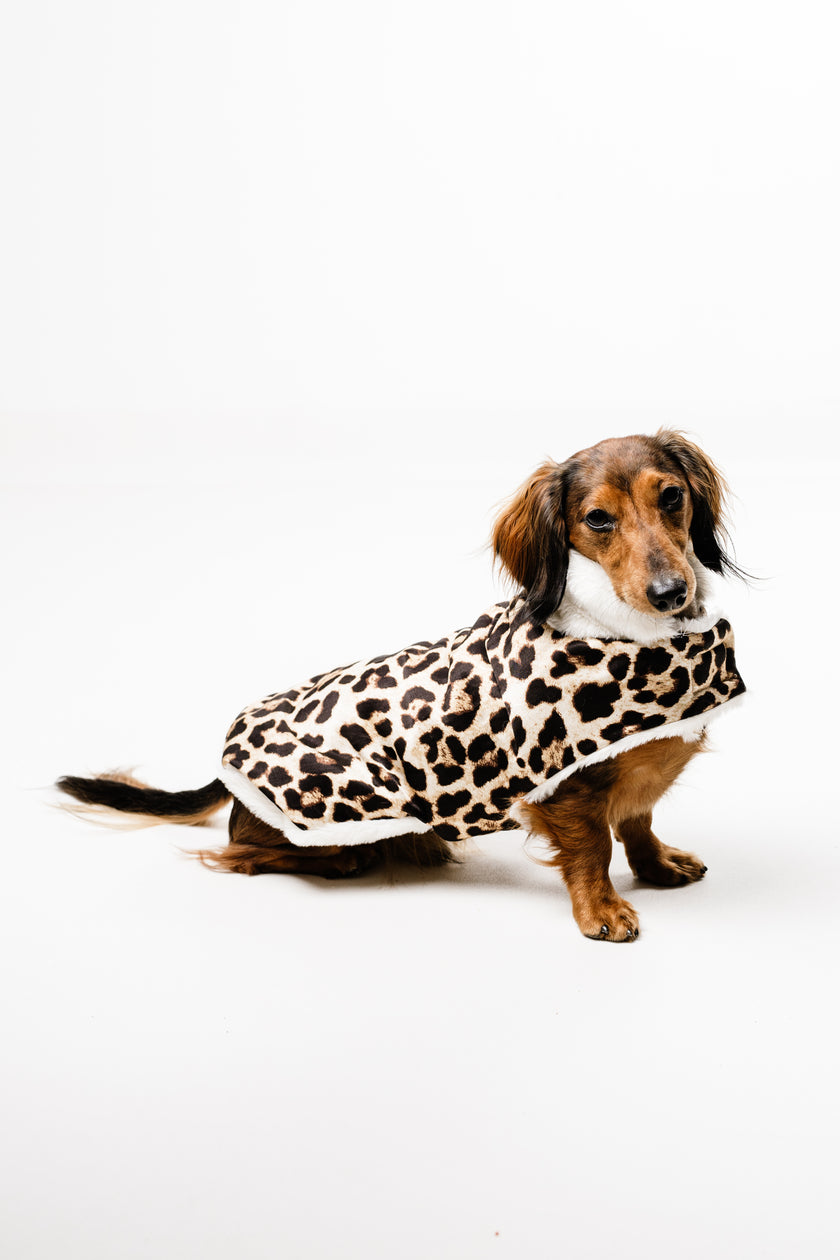 M - Monché bundica za kužka