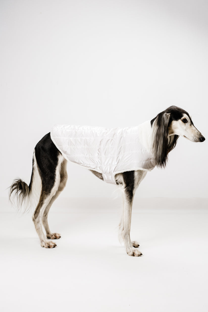 L - Monché bundica za kužka