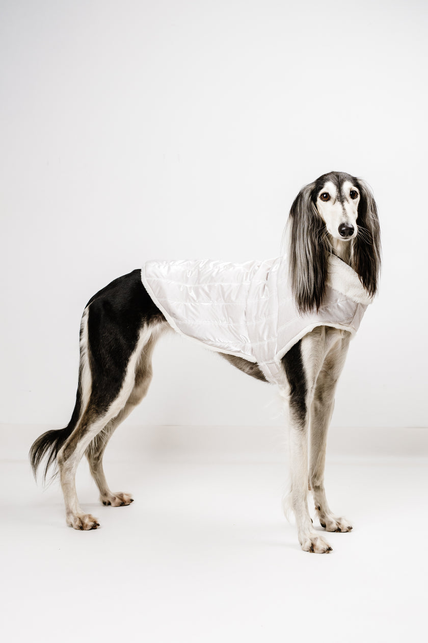 L - Monché bundica za kužka