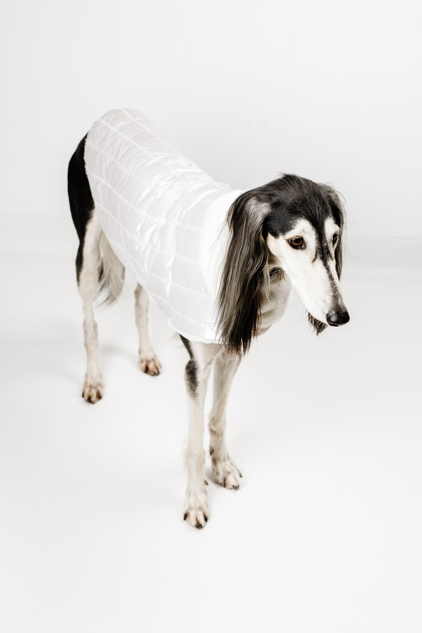 L - Monché bundica za kužka