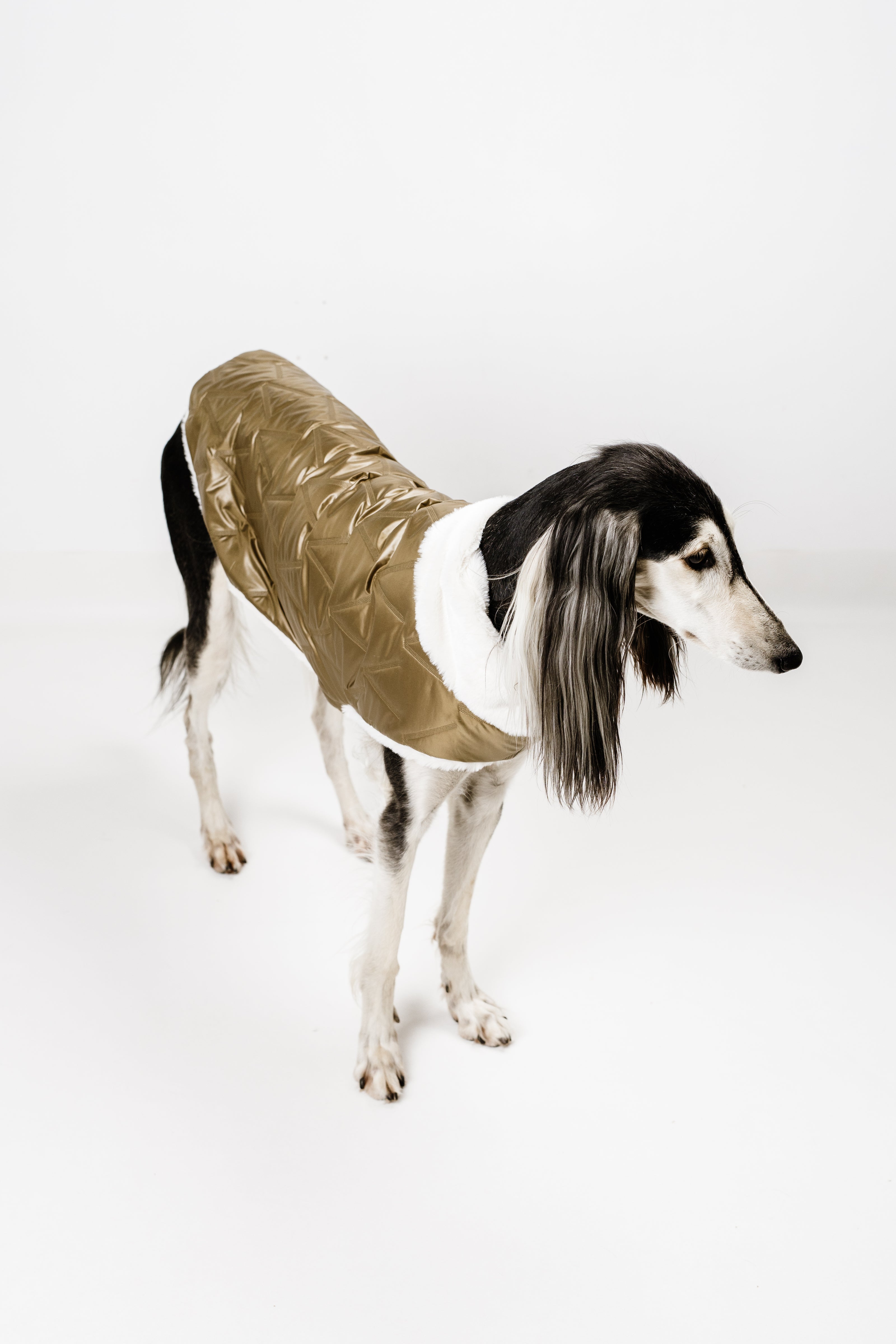 L - Monché bundica za kužka